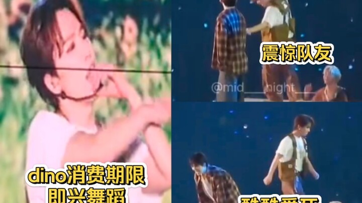 Dino spontaneously performed an impromptu dance solo, shocking the members—everyone absolutely loved