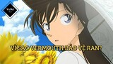[Thám Tử Lừng Danh Conan] - Tại sao Vermouth bảo vệ Ran? - Tập 356