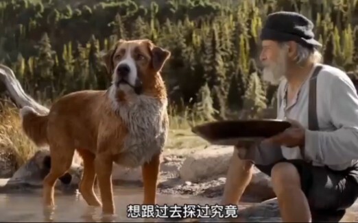 A noble breed dog is kidnapped into the deep mountains and forests, befriends wolves, and eventually
