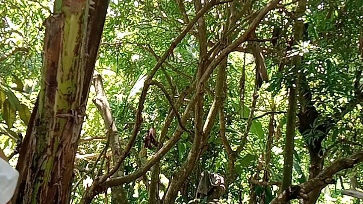 Isa na namang BUDOL Of the day 🤭