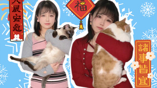 H-cup women's dress shopping haul, starting as low as 9.9 yuan