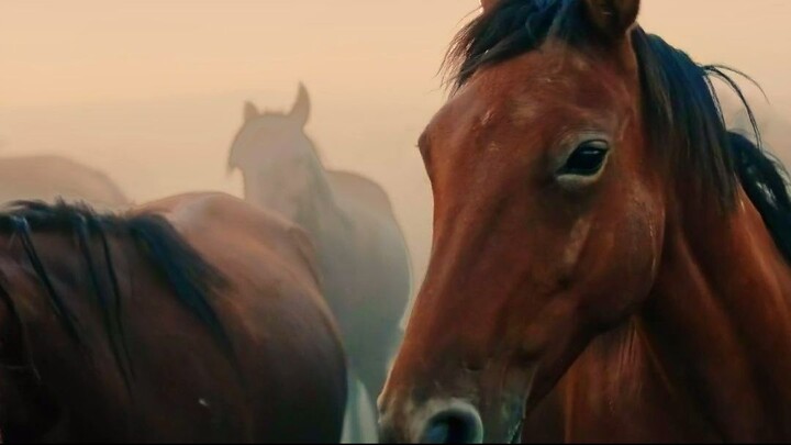 cinema of life.part.7