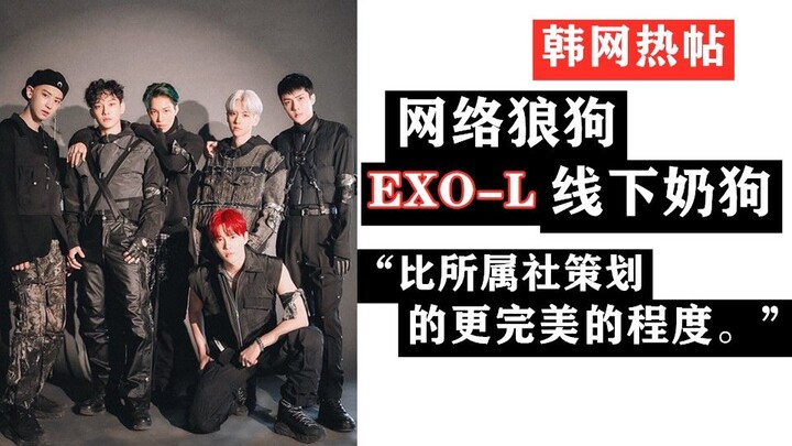 الشبكة الكورية: لم أكن أتوقع أن يسبق عالم الترفيه الكوري عالم الترفيه الصيني بفضل معجبيه... قدرة معج