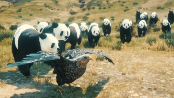 يا إينغ جيانغ، هربت وهي تطأطئ ذيلها!