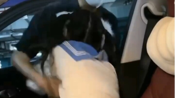 من يخوض هذه الدنيا لا بد أن يدفع الثمن عاجلاً أم آجلاً.