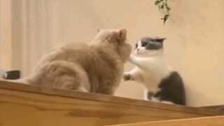 ขอจับหน่อยนะ