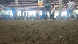 Meron    Draw hackfight