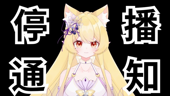 【停播通知】对不起食言了……这可能是我最长的一次休假