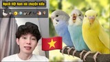 Người Việt Nam nói chuyện là phải có… chim