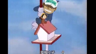 赤犬：你的小可爱突然出现