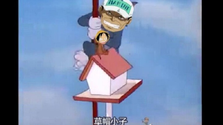 赤犬：你的小可爱突然出现