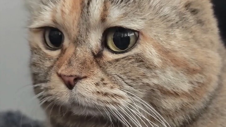 Why are you sleeping in again and not feeding me?