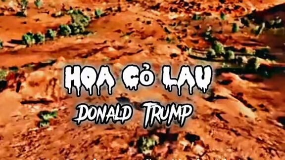 mới làm mong hai