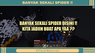 BANYAK SEKALI SPIDER DI SERVER INI ❓❓❗❗