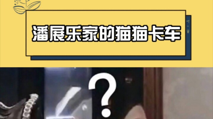 Gì? Bạn vẫn chưa biết nhà Phan Triển Lạc có cả xe tải mèo á?