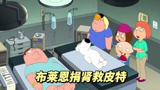 老乔意外受伤全身瘫痪，初生皮特因喝自制饮料急需换肾，family guy