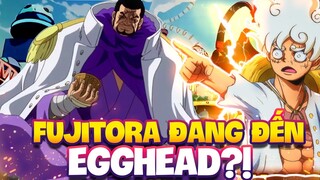 2 ĐÔ ĐỐC CÒN LẠI ĐANG TRÊN ĐƯỜNG ĐẾN EGGHEAD?! | FUJITORA THAM CHIẾN?