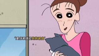 概念神，人宠通杀