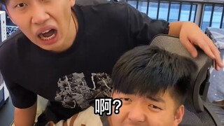 已室友的智商，能活到现在，真是一个谜