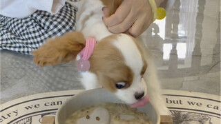 Since so many people have been stealing my videos, I might as well become a vlogger myself. Hope you