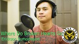 Where Do Broken Hearts Go | Erickson Sumodlayon Cover