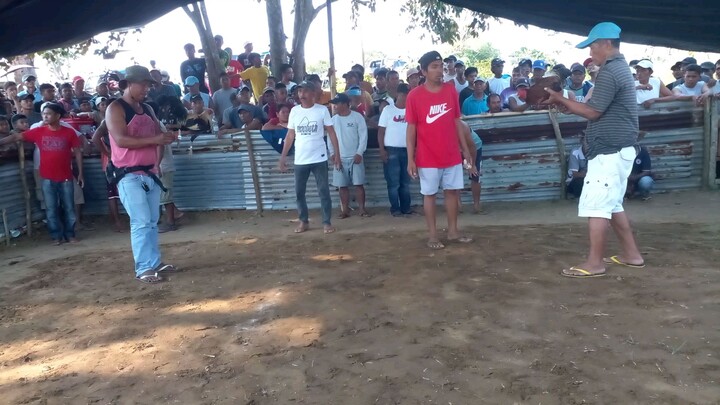 chamba bakla