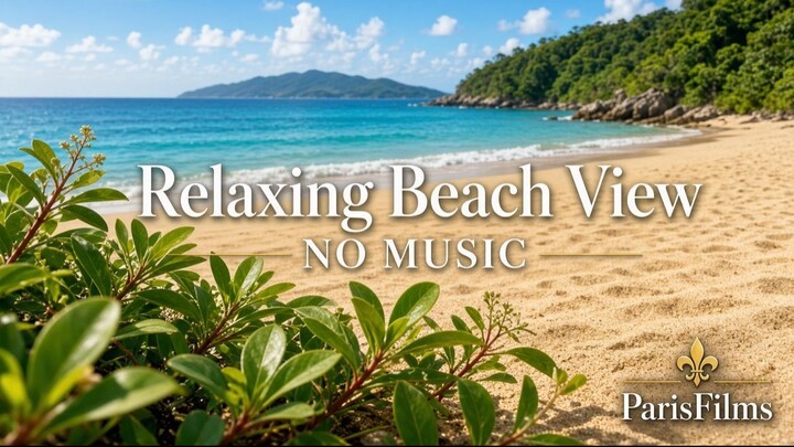 Relaxing Beach View | NO MUSIC | Nature Sounds Only | Calm Ocean Waves for Sleep & Study