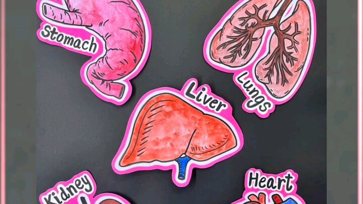 Body Parts Bechna Kaisa