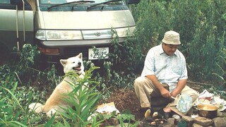 中年男人失业后又离婚，带着一条狗浪迹天涯，电影《星守之犬》