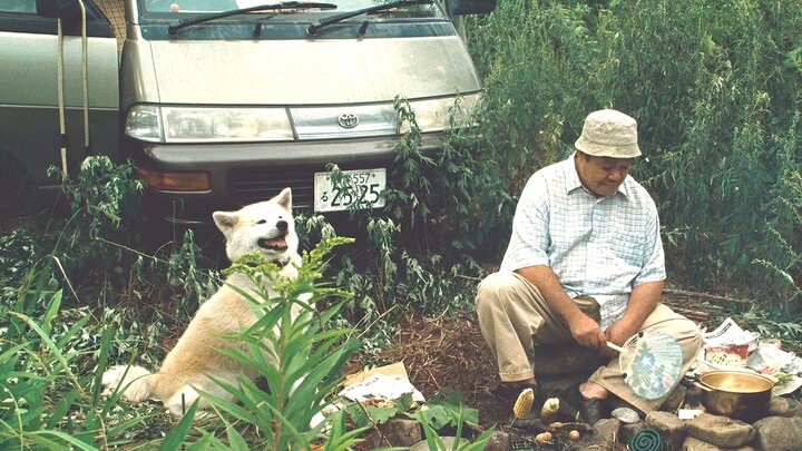 Một người đàn ông trung niên mất việc, ly hôn và lang thang khắp thế giới cùng một chú chó. Bộ phim 