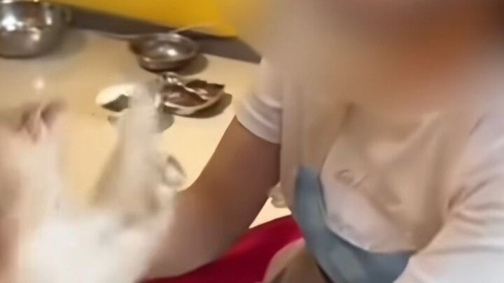 Deng Feiyuan’s cat abuse incident in Baoying’s Cat House
