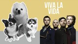 Viva La Vida but it's Doggos and Gabe