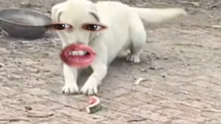 จับฉันสิ! คุณกำลังถ่ายอะไรอยู่?