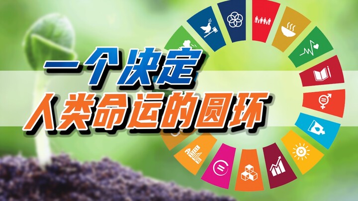 United Nations Sustainable Development Goals—How Far Are We from Success?