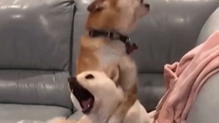 Làm sao để đáp trả cho đối phương hiểu được trong tình huống này?