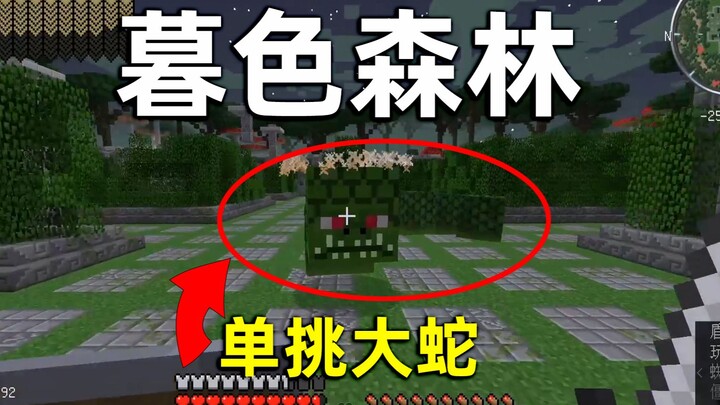 Minecraft Twilight Forest 1: I Dug Out Three Mines Just for Iron—Watch Me Solo Naga!