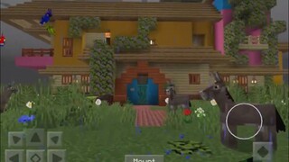 Minecraft Encanto house