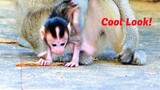 Oh Cool Look And Super!, Tiny Baby Girl Monkey Starts Very Nice Learning To Walk