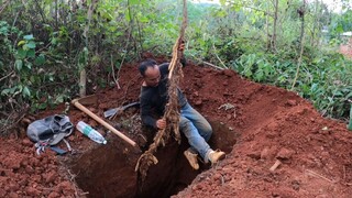 比人还高，挖了2米多深才挖出来，挖到这样的山药再辛苦也值得了