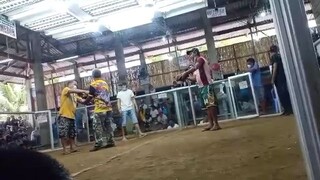 win