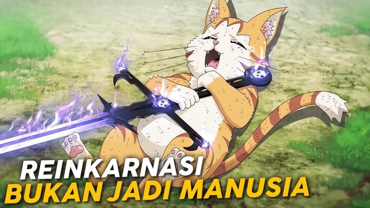 Mc Anime Ini Reinkarnasi Bukan Sebagai Manusia