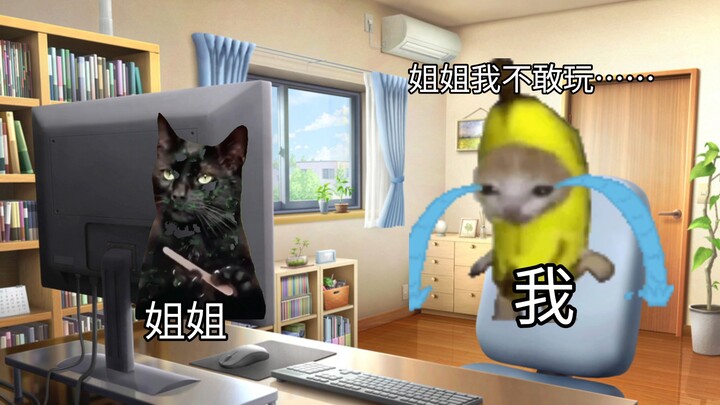 [Cat Meme] Me, the Scaredy-Cat, and My Bold Sister