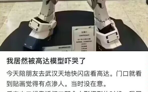 นักบินซีออนถูกค้นพบในหนังสือปกแดง