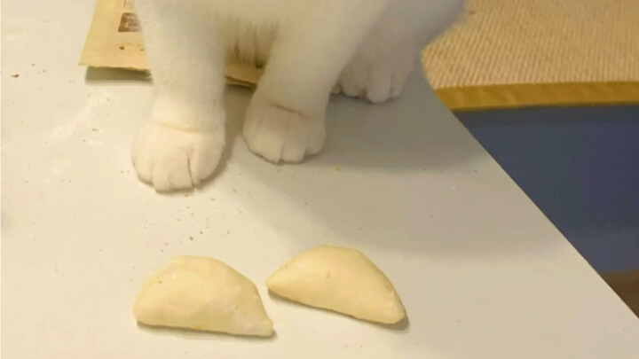 Wrap Dumplings with the Cool Sister This New Year!