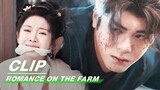 Shen Nuo Lays down His Weapon to Save Lian Maner | Romance on the Farm EP25 | 田耕纪 | iQIYI