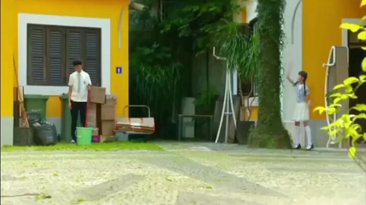 ngọn gió đời Tui