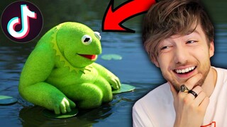 Can YOU Guys Make Me Laugh With TikToks ?!