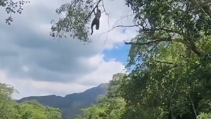 Akhir ceritanya memuaskan