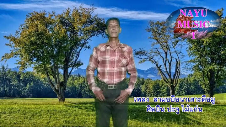 ลามอบือนาเนาะตือมู ปะจู ไม้แก่น