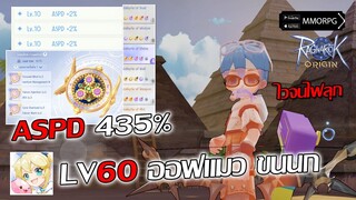 Hunter ASPD 435% LV60 ออฟแมว ขนนก ไวจนไฟลุกรัวเกิน ไกด์แนะนำ | Ragnarok Origin